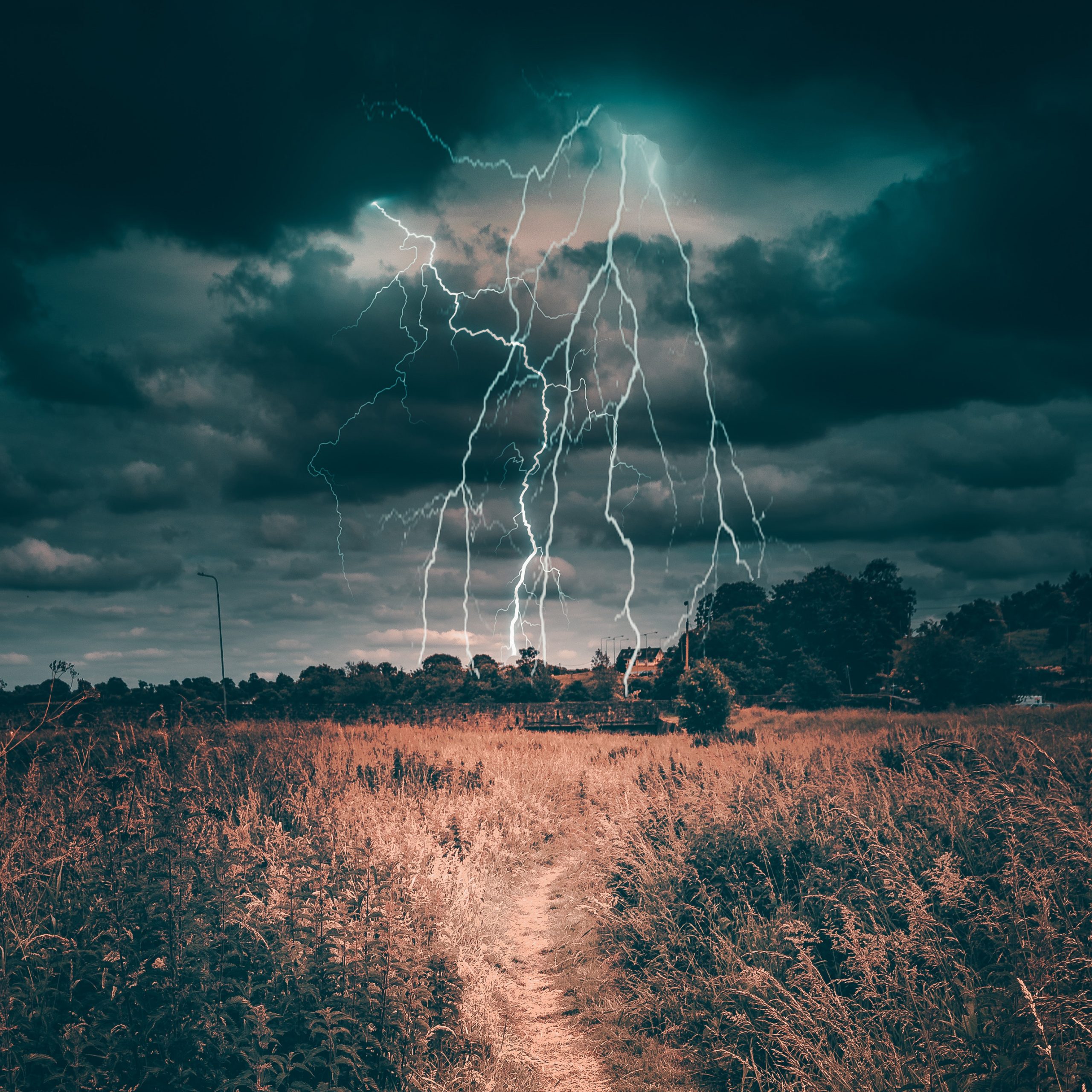 Chumlee Prison Crisis: Can His Career Survive This?